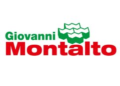 25-montaltot-logohistory.png