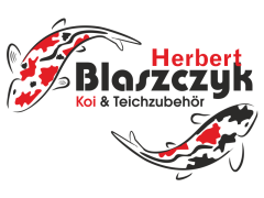 40-herbert-blaszcyk-logohistory.png