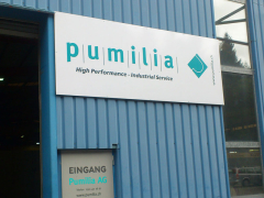 Pumilia.jpg