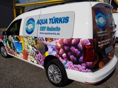 Aqua-Türkis.jpg