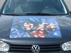 Fantasy-auf-Motorhaube.jpg
