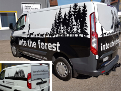 Into-the-forest.jpg